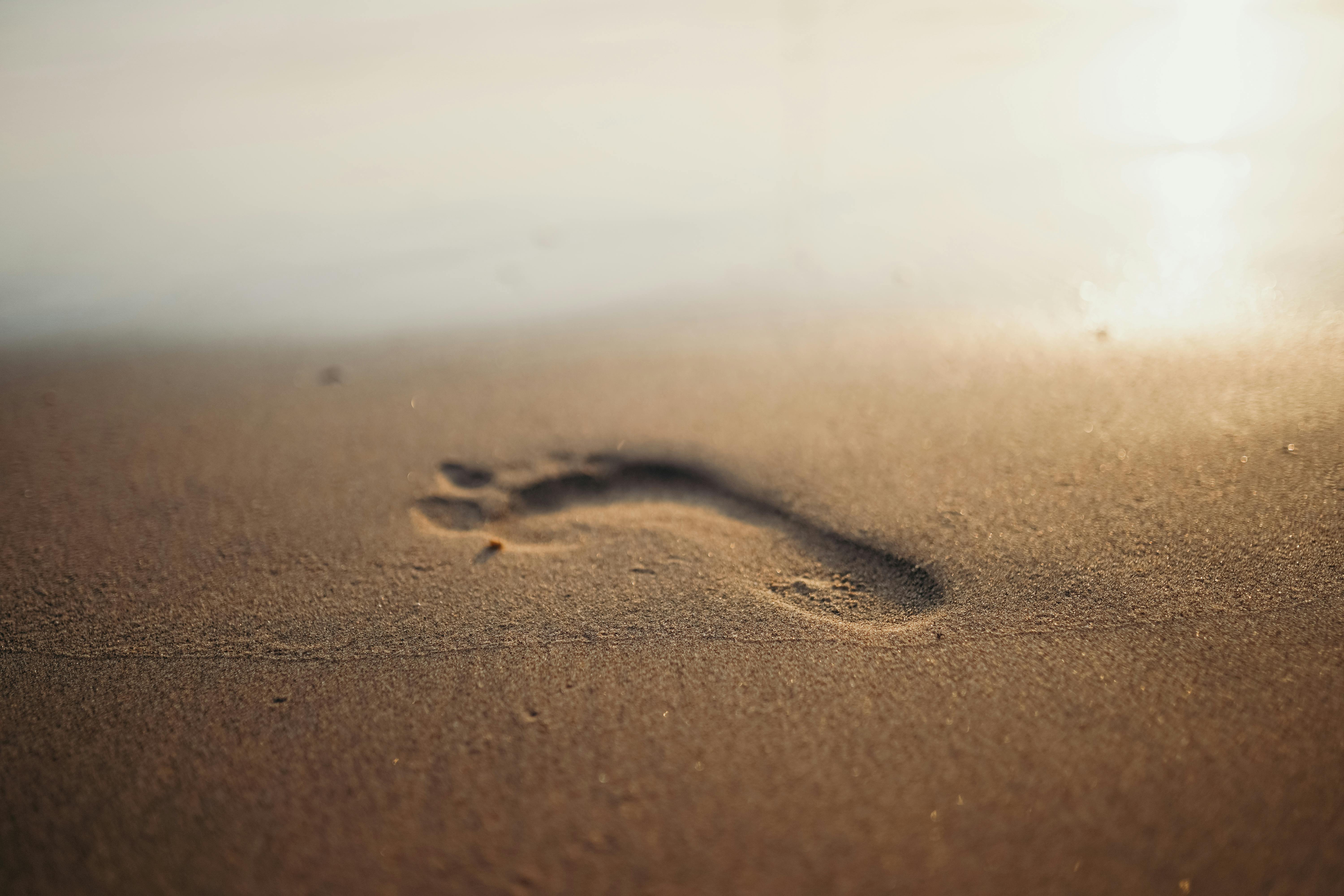 Facing Foreclosure? 5 Immediate Steps to Take Right Now