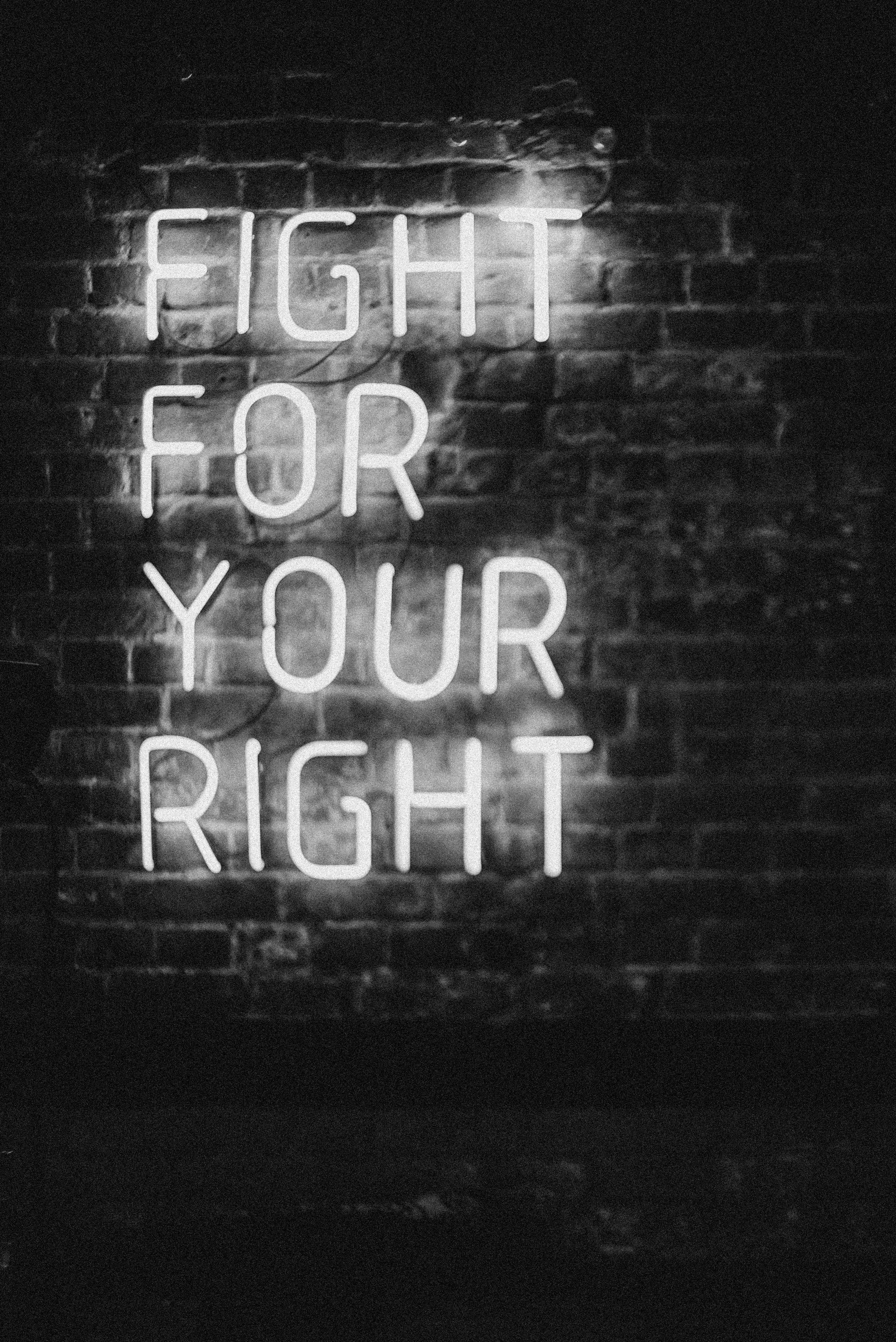 What Are My Rights in Foreclosure? A Homeowner's Survival Guide